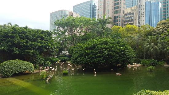 Kowloon-parken
